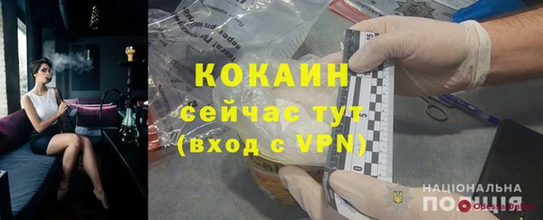 дмт Пересвет