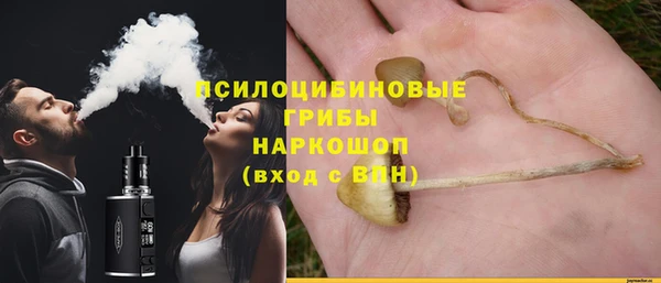 соль ск Осинники