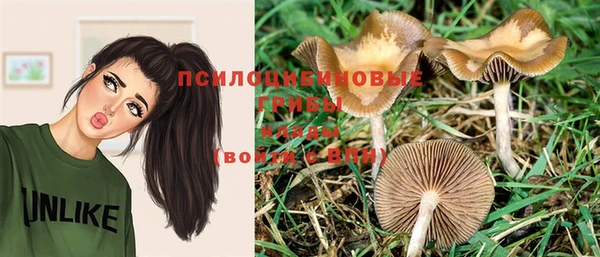 стаф Остров
