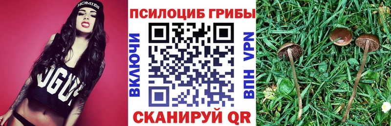 Псилоцибиновые грибы ЛСД  Чкаловск 